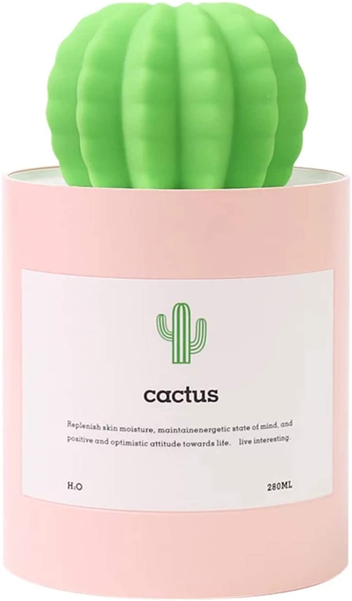 Cactus Mini Humidifier, Gift Ideas for Coworkers
