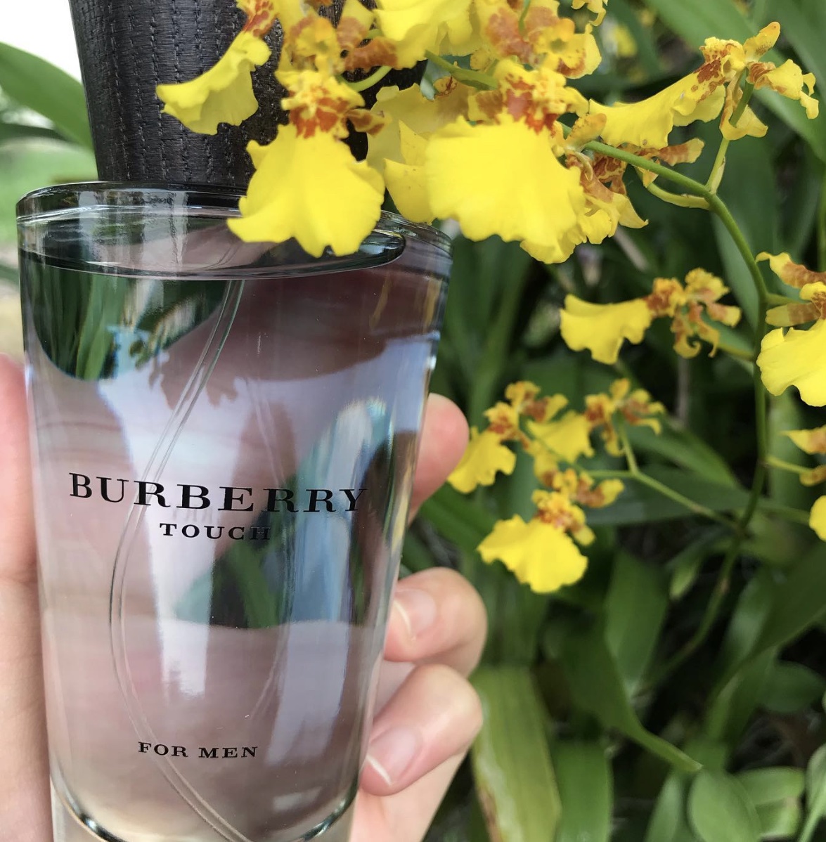 Burberry Touch beside a flowering plant