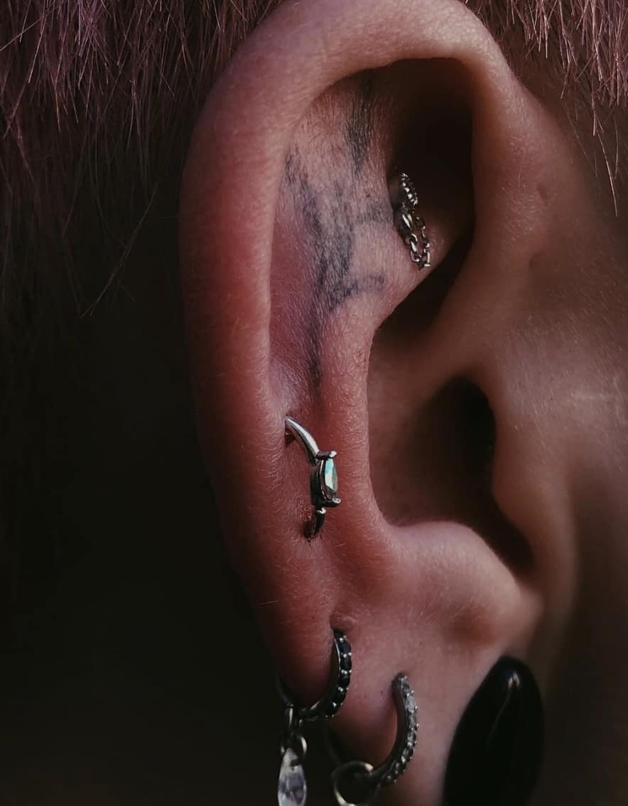 close up of various ear piercings